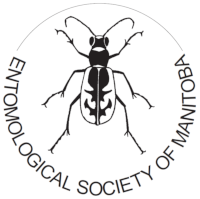 ESM_logo