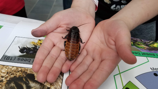 ESM youth encouragement